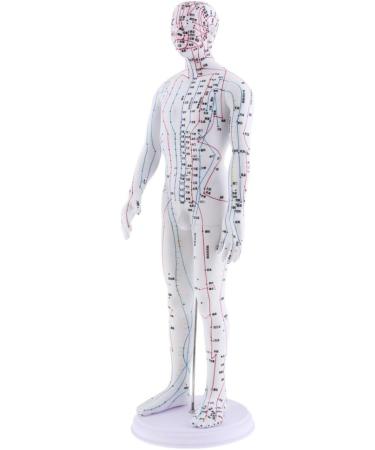 harayaa Human Body Point as described Male - Buy Online on GoSupps.com