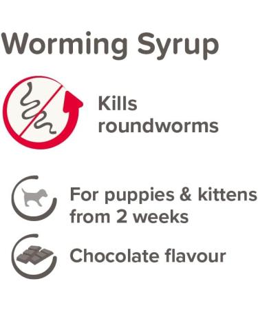 Beaphar - Worming Syrup - For Puppies & Kittens - Treats Roundworms - Ideal for Treating Litters - UK Authorised Veterinary Medicine - Pet-Friendly Chocolate-Flavoured Syrup - 45ml ( Pack of 1) - Buy Online on GoSupps.com