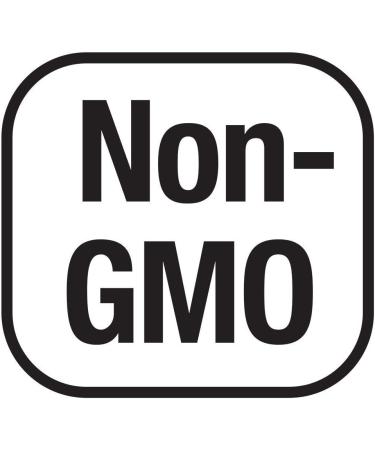 Now Foods Acetyl-L-Carnitine 500mg 360 Veg Capsules - Non-GMO | 360 Count - Buy Online on GoSupps.com