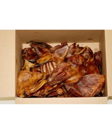 Hollings Pigs Ears Natural Dog Treats Bulk Box of 20 British Product Britis...