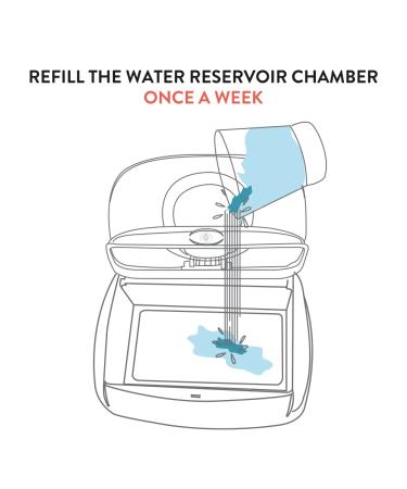 EverFRESH Pillow Replacement for Prince Lionheart Wipes Warmer - 6 Pack - Buy Online on GoSupps.com