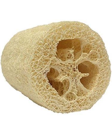 Natural Loofah Body Scrub (3 Pack, 5 inches) with Shower Gel Foamer Bottle - 1.7 oz - Buy Online on GoSupps.com