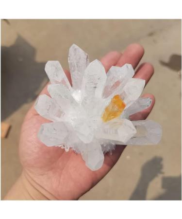 Crystal Rough Natural Crystal Rough Natural White Transparent Crystal Cluster Stone ore Specimen demagnetization Stone Purification Ment Stone decoratio (Size : 600-700g) - Buy Online on GoSupps.com