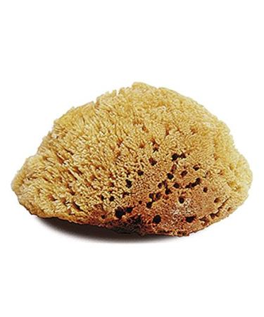 Jacks Inc. Natural Body Sponge Large