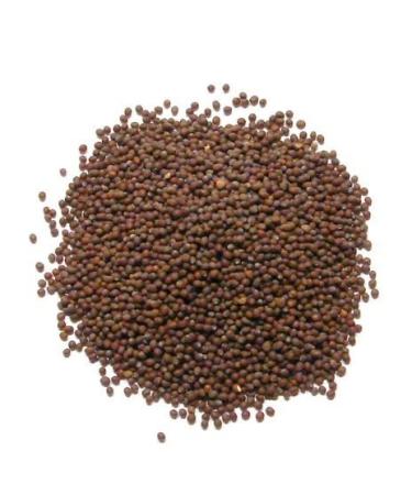 Brown Mustard Seeds (brown rai) - 100g - FREE UK POS - Buy Online on GoSupps.com