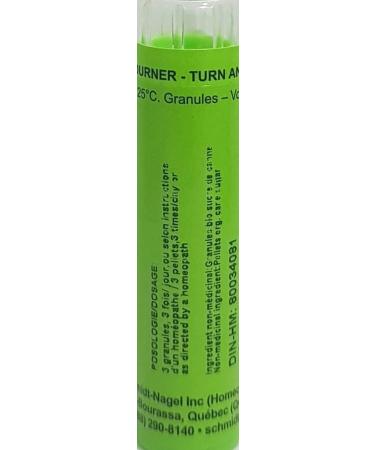 Argentum Nitricum 200K Homeopathy Medicine Schmidt-Nagel Canada (Homeodel) 90 pellets/granules - Buy Online on GoSupps.com