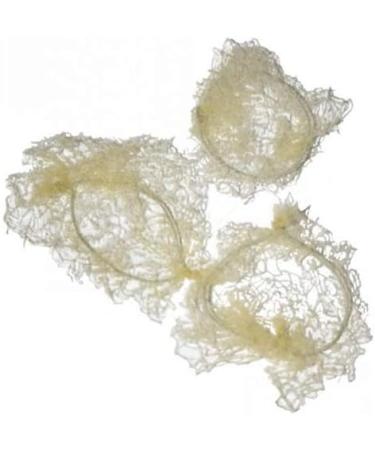 Mytoptrendz Girls Women Invisible Fine Bun Nets with Elastic Hair Nets Pack of 3 Pair Blonde 3 piece Invisible net - Buy Online on GoSupps.com