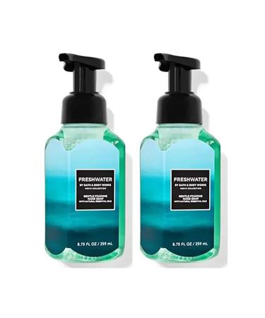 Bath & Body Works Freshwater Gentle Foaming Hand Soap 8.75 Ounce 2-Pack (Freshwater)