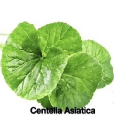 La Vie En Rose Centella Asiatica Soap Bars - Handmade Natural Soap for All Skin Types | 4 Bars (5.0-5.4 oz) | International Shipping Available - Buy Online on GoSupps.com