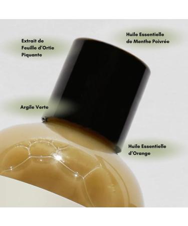 SERGE D'ESTEL PARIS - Purifying Treatment for Oily Hair 750ml Eliminates Excess Sebum Balances and Purifies the Scalp Brings Volume and Lightness to the Hair - 100% Vegan - Buy Online on GoSupps.com