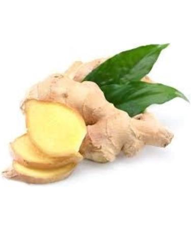 Ancient Wisdom Ginger Argan Solid Shampoo Loaf - Buy Online on GoSupps.com