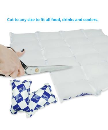 Dry Ice Packs for Shipping - Flexible Cold Packs for Frozen Food - Ice Blankets for Coolers - 8 Sheets of 24 Cells Each - Buy Online on GoSupps.com