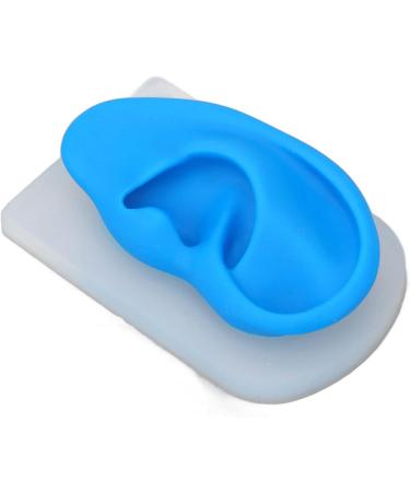 Buy Gernie Ear Model Accessories - Realistic Human Ear Displays for Anatomy & Hearing Enhancement - Buy Online on GoSupps.com