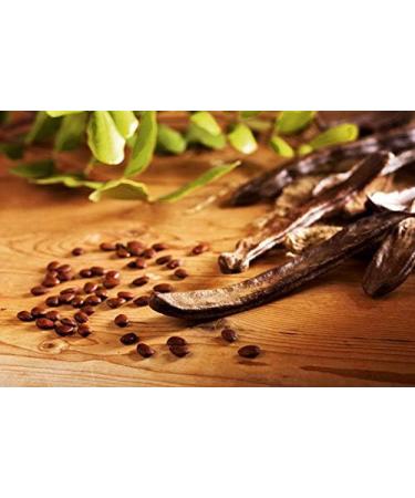 PLAT Firm SEMI DI GERMINAZIONE: 4 Unzen: caroube et baccelli Samen Ganz gearbeiteten Sauvage St. Johns Brot Roh Schokoladengeschmack - Buy Online on GoSupps.com