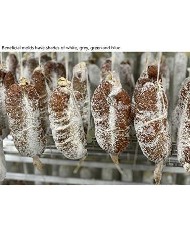 Salumi Chicago Traditional Nduja - Spicy Calabrian Chili Pepper Salami (7 oz) - Buy Online on GoSupps.com