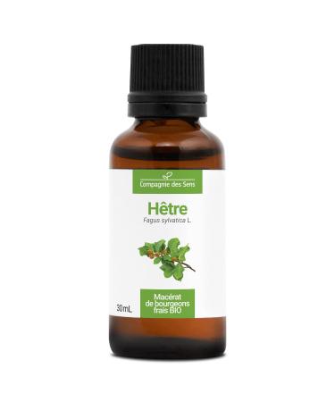 BEECH - 30mL - Organic bud macerate