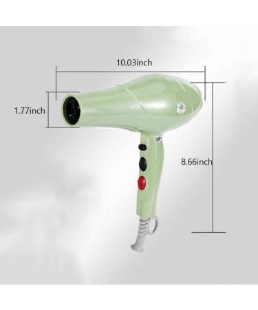 Blow Dryer with 3 Heat & 2 Speed Setting and Cool Shot Button Concentrator Nozzle 2400W Professional Ionic Hair Dryer Powerful Salon AC Motor Hairdryers Low Noise for Salon and Household Small - Buy Online on GoSupps.com