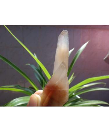 Natural Clear RED Quartz Crystal Point Rough GEM ningxiao - Buy Online on GoSupps.com