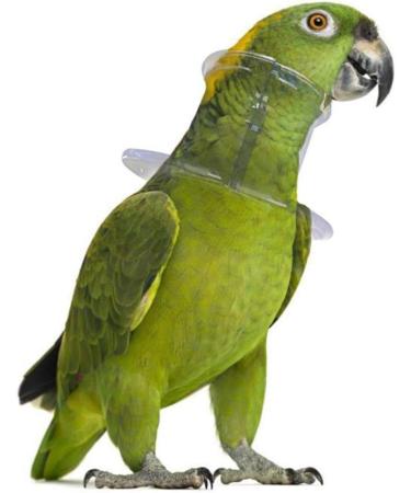 Hemoblo Collar for Birds - Safety Neck Cover for Parrots | Practical Rodid Cone Protection - Ideal for Pets | International Shipping Available - Buy Online on GoSupps.com