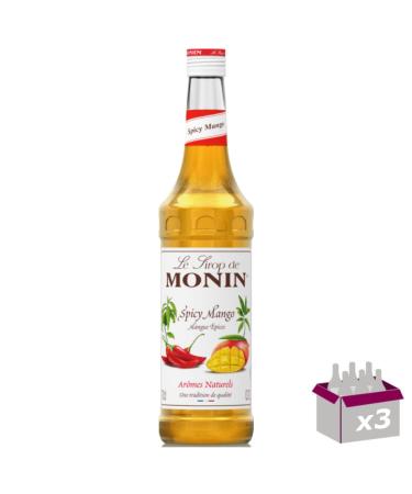 Set of 3 Syrup - Spicy Mango - 70cL