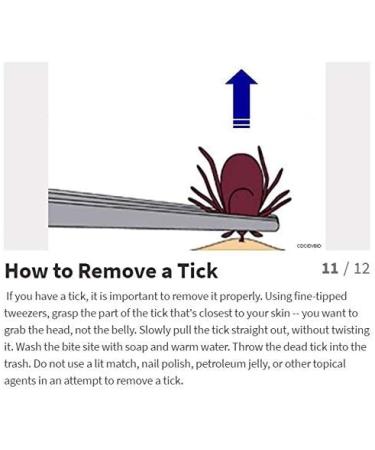 eTradewinds Tick-Off Pro Tool | Hygienic Stainless Steel Tick Remover 2-Pack - Buy Online on GoSupps.com
