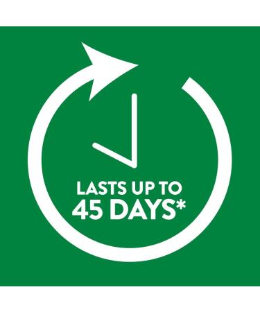 Air Wick Scented Oil Air Freshener Refill - Lavender & Chamomile | 8-Pack - International Shipping Available - Buy Online on GoSupps.com