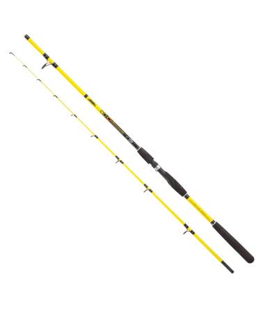 Jenzi fishing rod continuum 1.80m 20-100g