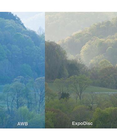 ExpoDisc Professional White Balance Filter - 82mm Lens Thread | Enhance Color Accuracy in Photos & Videos | Easy-to-Use, No Software Needed | Save Time on Color Correction - Buy Online on GoSupps.com
