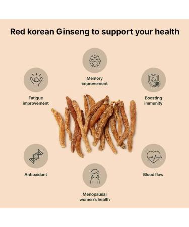 K-Herb Premium Korean Red Ginseng Sticks Liquid Portable Sticks with Korean Red Ginseng Extract No Preservatives (Ginsenoside 25mg 60P) - Buy Online on GoSupps.com