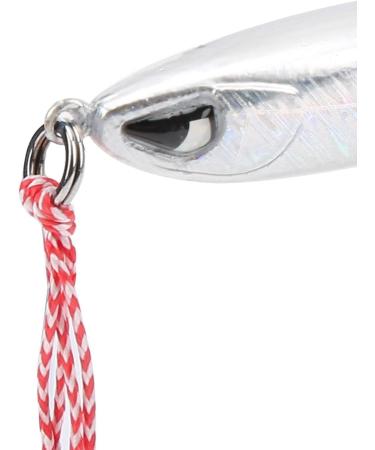 FOLOSAFENAR Imitation Bait Pilk Fish - Fast Diving Fishing Accessories with Double Hooks for Sea & Lake Fishing (Silver) - Buy Online on GoSupps.com
