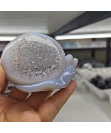 Home Decor Snail Natural Nao Amethyst Crystal Cluster Stone Specimen Home Crafts Decoration Gift Geode Gifts Natural Crystal Draw yuebang Stone Mineral Specimen - Buy Online on GoSupps.com