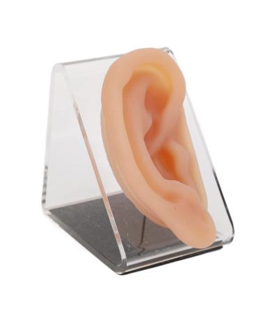 Flexible Silicone Ear Model Acupuncture Practice Tool with Stand for Piercing Display