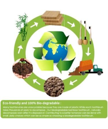 Eco-Friendly Bamboo Toothbrushes for Couples | Solar-Powered Cute & Happy Design | Buy Internationally - Buy Online on GoSupps.com