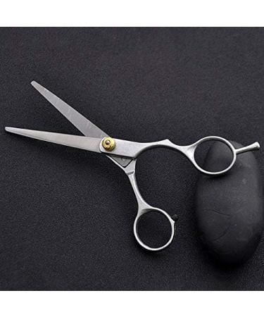 Craft Scissors Hairdressing Scissors 6 Inch Hair Scissors Professional Barber Scissors Cutting Thinning Styling Tool Hairdressing Shear Salon Scissors - Buy Online on GoSupps.com