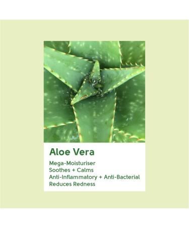Face Facts Cleansing Facial Scrub | Aloe Vera + Vitamin E | 75ml - Buy Online on GoSupps.com