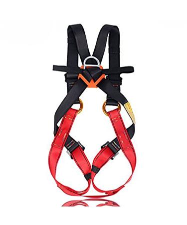 Full Body Climbing Harness Kids,Flower Sea9 Climbing Harness Safe Belts Guide Harness for Mountaineering Outward Band Expanding Training Caving Rock Climbing Rappelling Equip (S(4-10years))