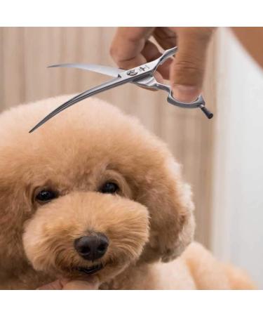Buy Purplebird 6.5-Inch Curved Fur Scissors | Japanese Stainless Steel for Dogs & Cats | Ideal Grooming Tool | International Shipping - Buy Online on GoSupps.com