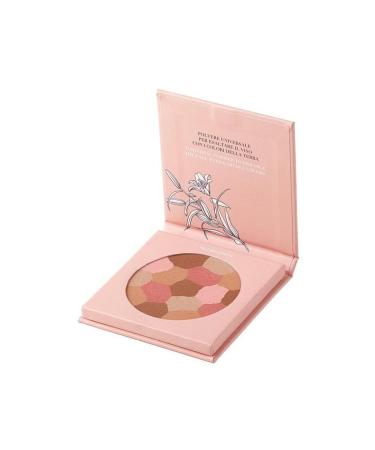 ASTRA PURE BEAUTY MOSAIC FACE POWDER - 01 MOTHER EARTH