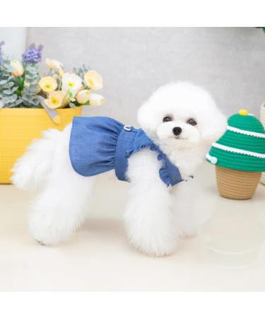 Shop Barrageon Sweet Princess Rock Clothing for Dogs & Cats - Light Blue Bowknot Summer Outfit for Medium Pets (30 cm Back Length) - Buy Online on GoSupps.com