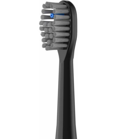 Full Black Flossing Toothbrush Head Replacement for Waterpik Sonic Fusion SF-01 SF-02 SF-03 SF-04 Combo Brush Heads (3 Packs) - Buy Online on GoSupps.com