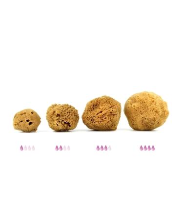 Menstrual Sponges - 4 Unbleached Eco-Friendly Pieces with Needle & Cotton Cord | Alternative to Pads & Tampons | Aristos - Buy Online on GoSupps.com