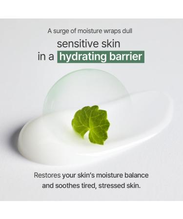 mixsoon Cica Hyal Deep Soothing Cream - Soothing and Hydrating Face Cream Centella Asiatica and Hyaluronic Acid Calming Moisturizer for Sensitive Skin 50ml / 1.69 fl.oz. Korean Glass Skin Care - Buy Online on GoSupps.com