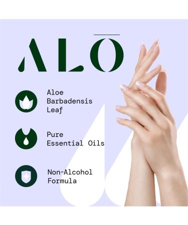 Peppermint Eucalyptus + Aloe Sanitizing Hand Wipes - 3 Pack 20ct Travel Size - On The Go Hand Sanitizer for Kids and Adults - Buy Online on GoSupps.com