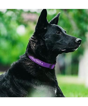 Tagme Personalized Large Dog Collar - Embroidered Reflective Nylon Custom Pet Name & Phone Number Purple - 1 Pack - Buy Online on GoSupps.com
