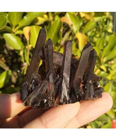 Crystal Rough 90-100g Natural Beautiful Black Quartz Crystal Cluster Tibetan Specimen - Buy Online on GoSupps.com
