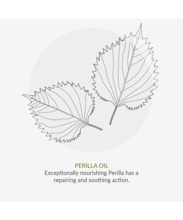 Green People Age Defy+ Ultimate Wonder Balm 50ml | Natural & Organic Anti-Ageing Cleansing Balm | Purifying Make-Up Remover for Dry Mature Skin | Paraben Free & Ethyl Alcohol Free | Cruelty Free - Buy Online on GoSupps.com