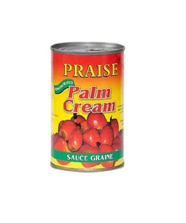 Praise Palm Nut Cream 400g-Fd