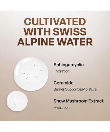 KOY Solid Volume Base Toner 3.38 fl oz Skin Hydrating Smoothing Moisturizing Skin Refresh Balance for Daily Toner Protein Complex with Niacinamide - Buy Online on GoSupps.com