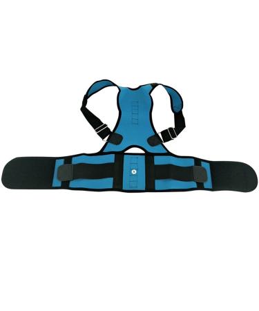 Back Brace Lumbar Support Belt Posture Corrector for Women Men Physical Therapy Waist Trainer Wrap Pain Relief Arthritis Sciatica Scoliosis (Size : 6XL) (X)