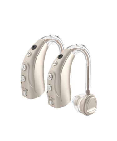 Delmicure 1710 Full Digital 16 Channels Rechargeable Device Adjustable Volume Two Pack